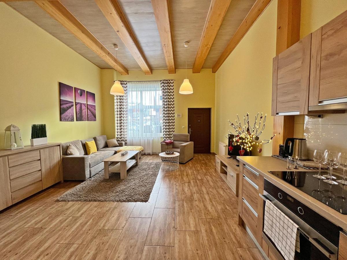 Apartamenty Mountain View - Bezplatny Parking Krynica Zdroj Bagian luar foto